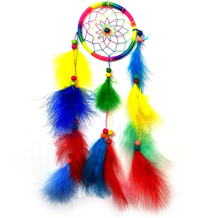 Dream Catcher Pene Colorate