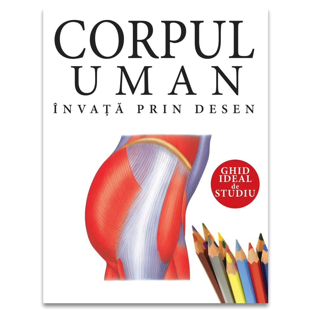 Corpul uman: Invata prin desen