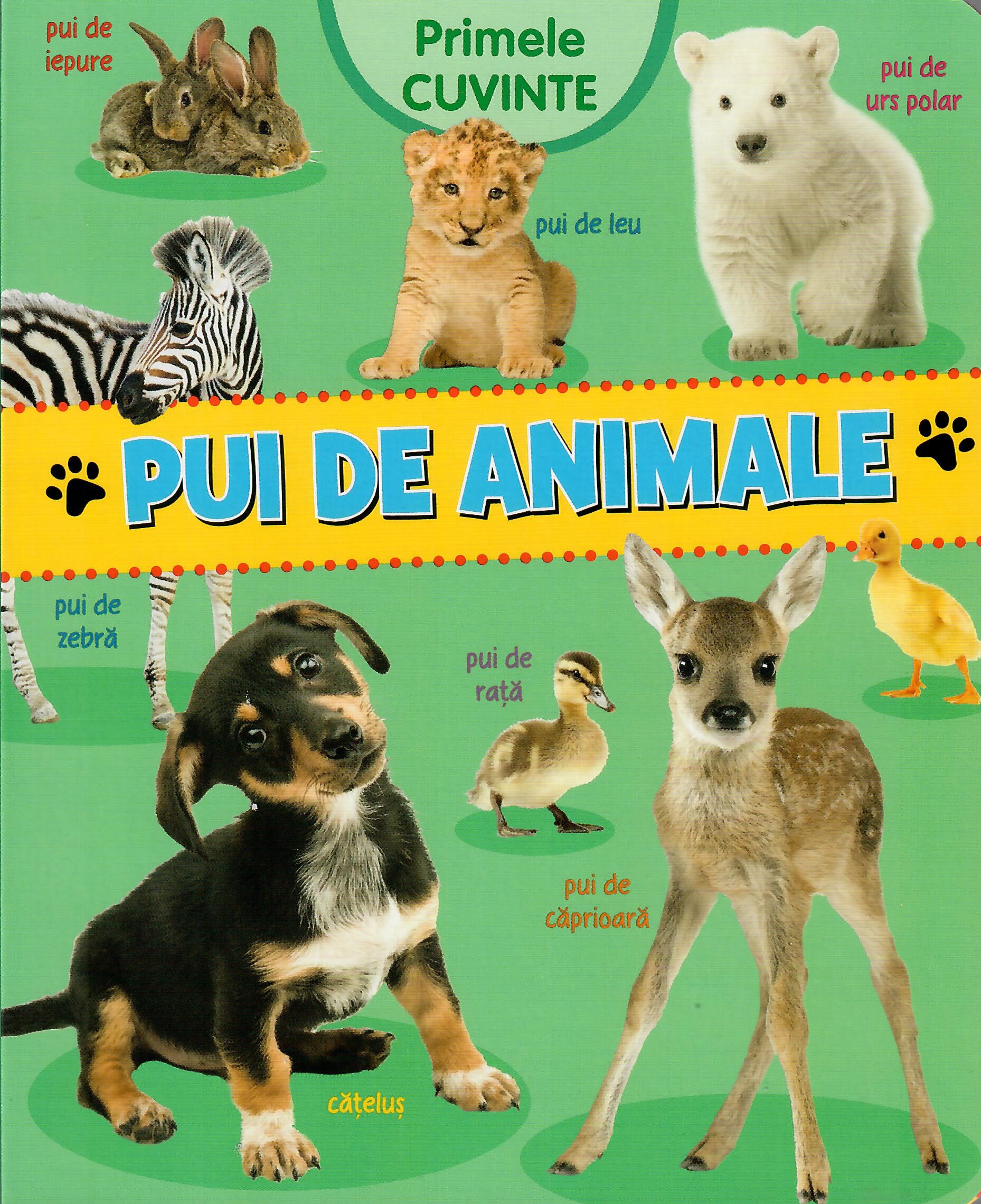 Primele cuvinte. Pui de animale