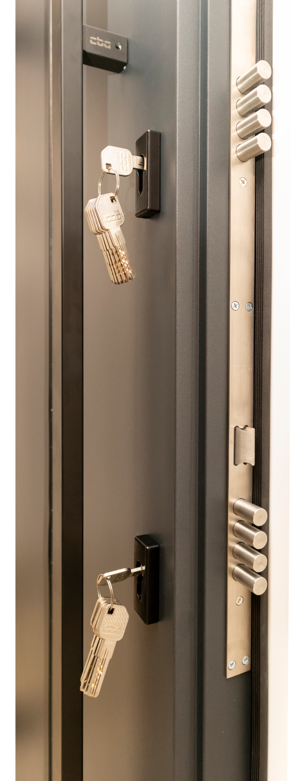 Usa exterior aluminiu , gri antracit ext / alb interior , izolatie termica 0.6W/mpK , izolatie fonica 45 dB , rezistenta apa , soare , vant certificata , 960x2050 mm,dreapta, [3],totuldespreusi.ro