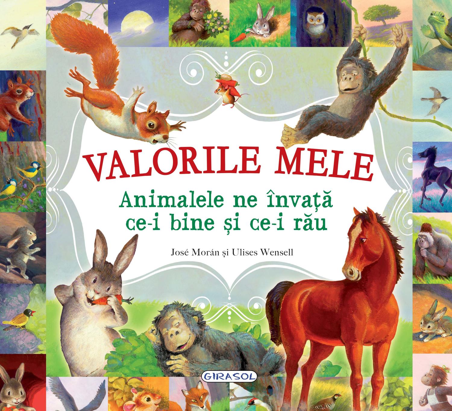 Valorile mele. Animalele ne invata ce-i bine si ce-i rau