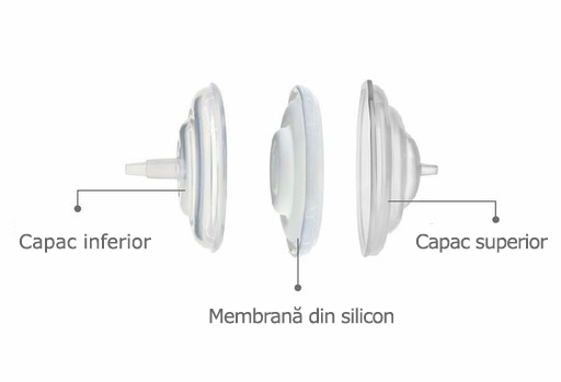 Accesorii pompa - Filtru protectie flux invers, [2],bestfam.ro