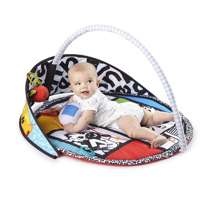 Baby Einstein - Salteluta de activitati - Bold New World - Bright Starts, [2],bestfam.ro