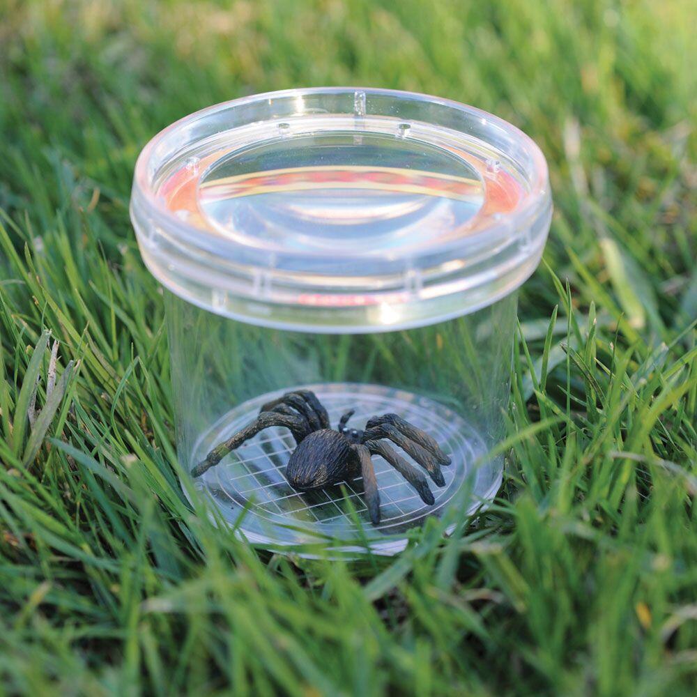 Borcan cu lupa pentru observarea insectelor, [2],bestfam.ro