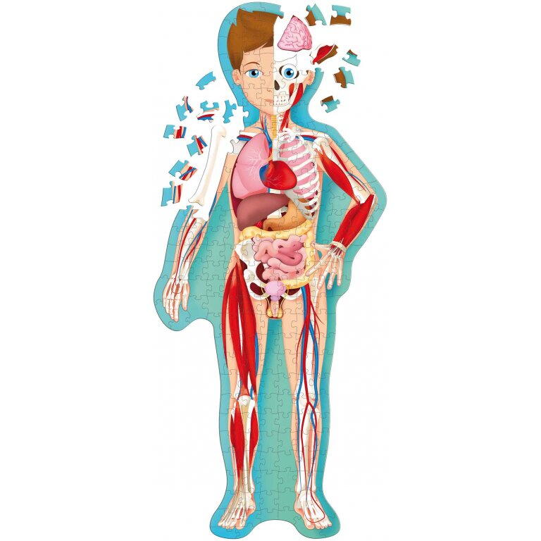 Cunoaste si exploreaza - Puzzle Minunatul corp uman (200 piese), [2],bestfam.ro
