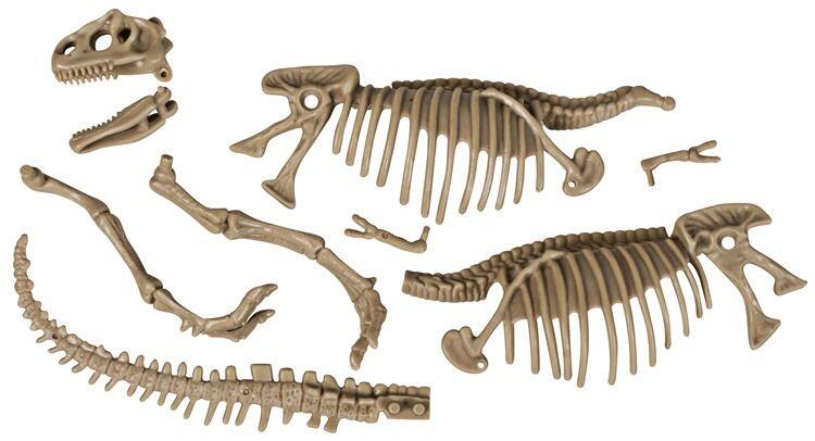 Kit excavare - Dinozaur fioros