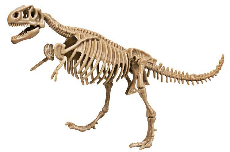 Kit excavare - Dinozaur fioros, [2],bestfam.ro