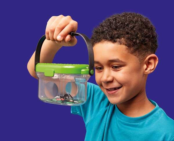 Observatorul pentru insecte, [2],bestfam.ro