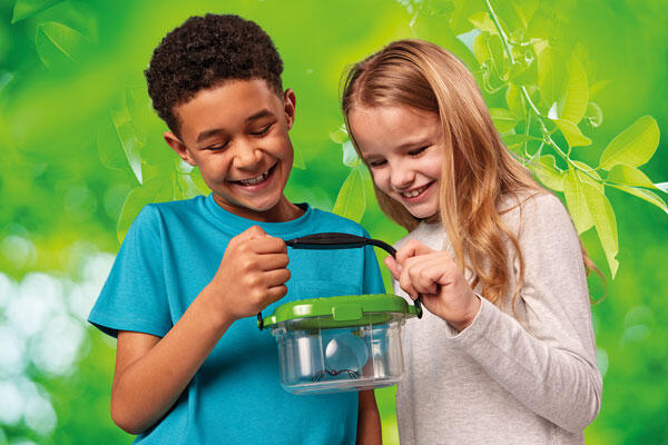 Observatorul pentru insecte, [3],bestfam.ro