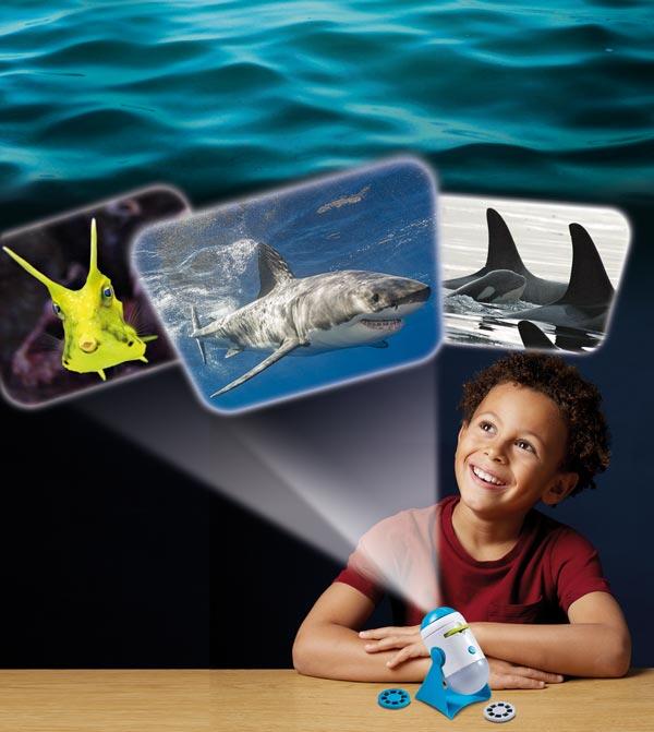 Proiector 2 in 1 - Animalute marine, [2],bestfam.ro