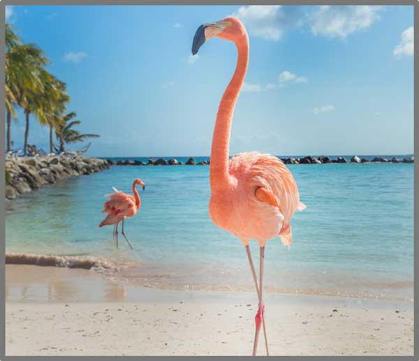 Proiector tip lanterna - Distractie cu animalute, [8],bestfam.ro