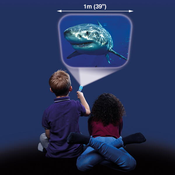 Proiector tip lanterna - Rechini periculosi, [2],bestfam.ro