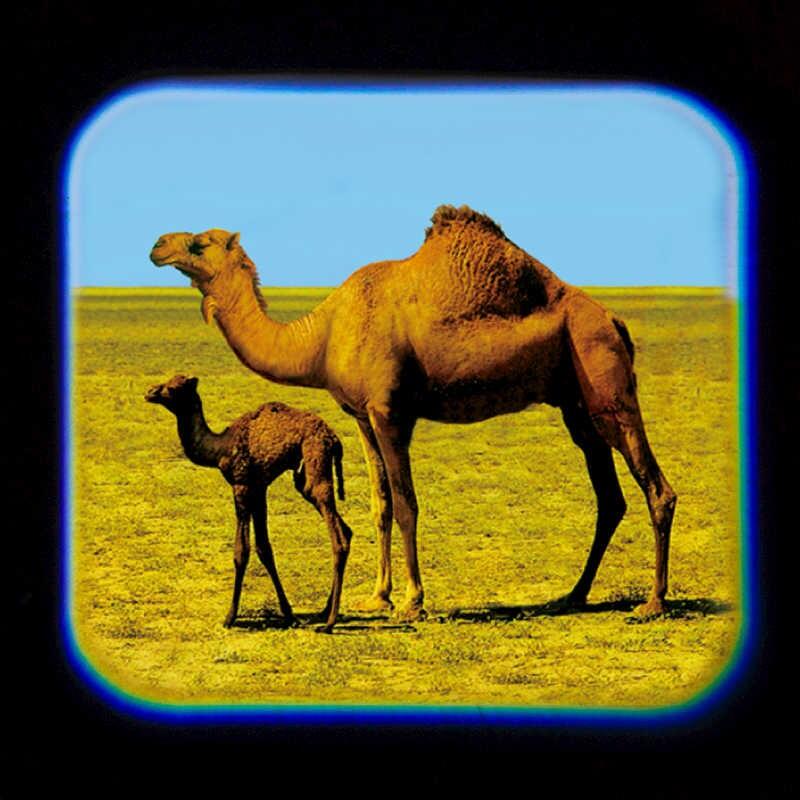 Proiector tip lanterna - Animale, [5],bestfam.ro