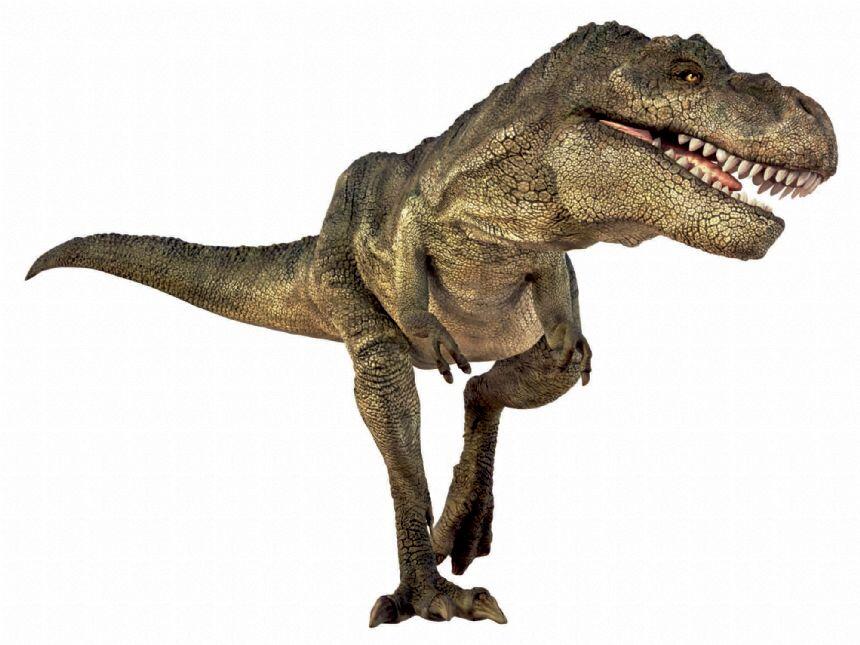 Proiector tip lanterna - Dinozauri, [5],bestfam.ro