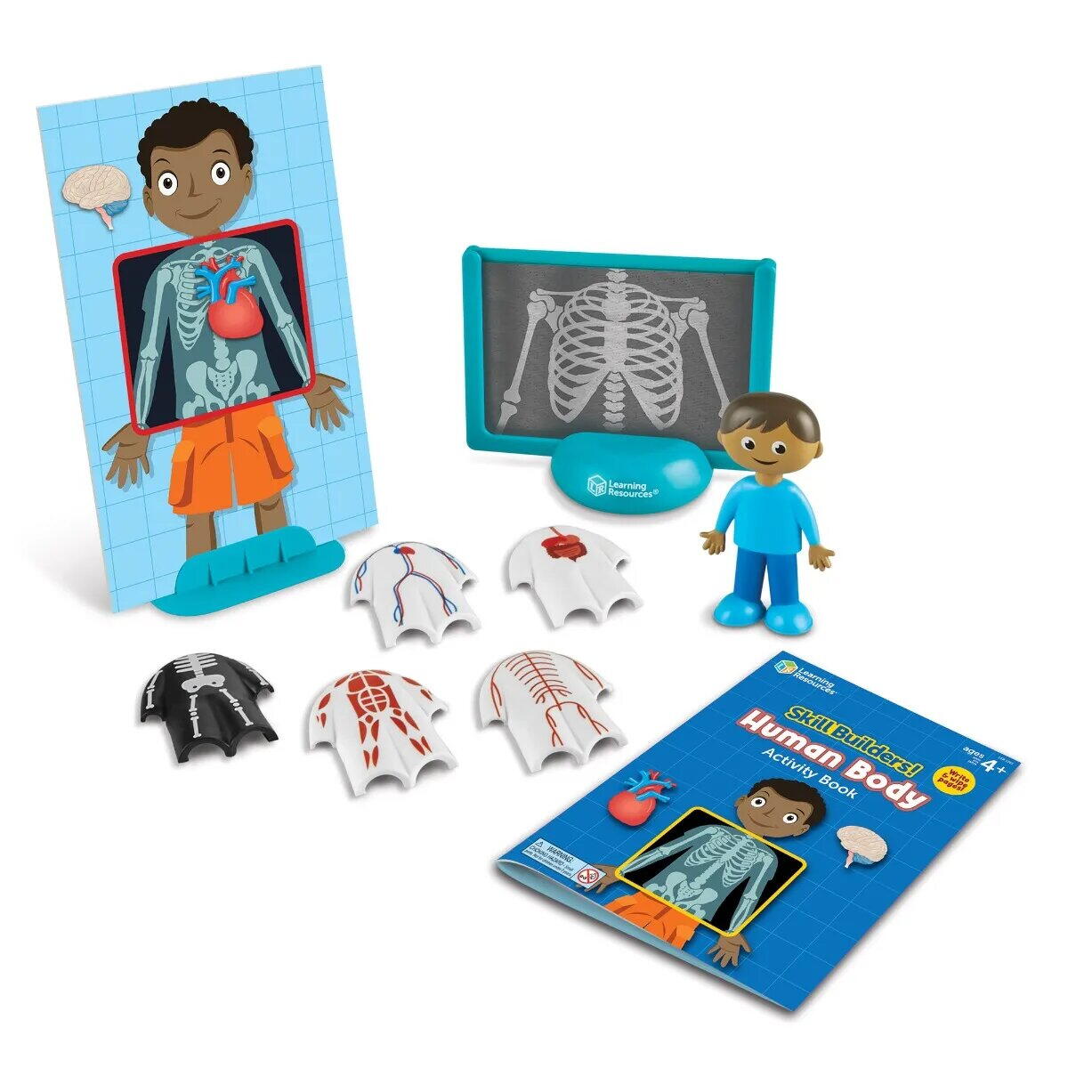 Set activitati educative - Corpul uman, [2],bestfam.ro