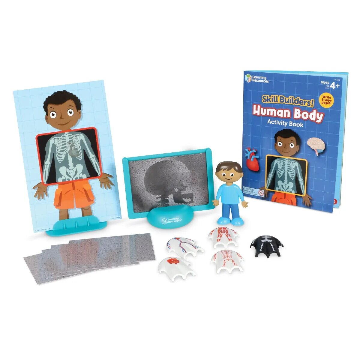 Set activitati educative - Corpul uman, [3],bestfam.ro