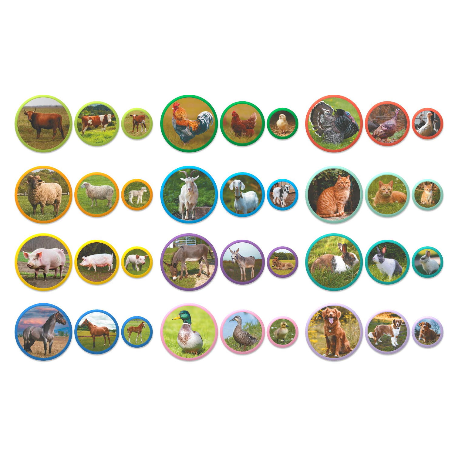 Set magneti Montessori - Animale de la ferma, [3],bestfam.ro