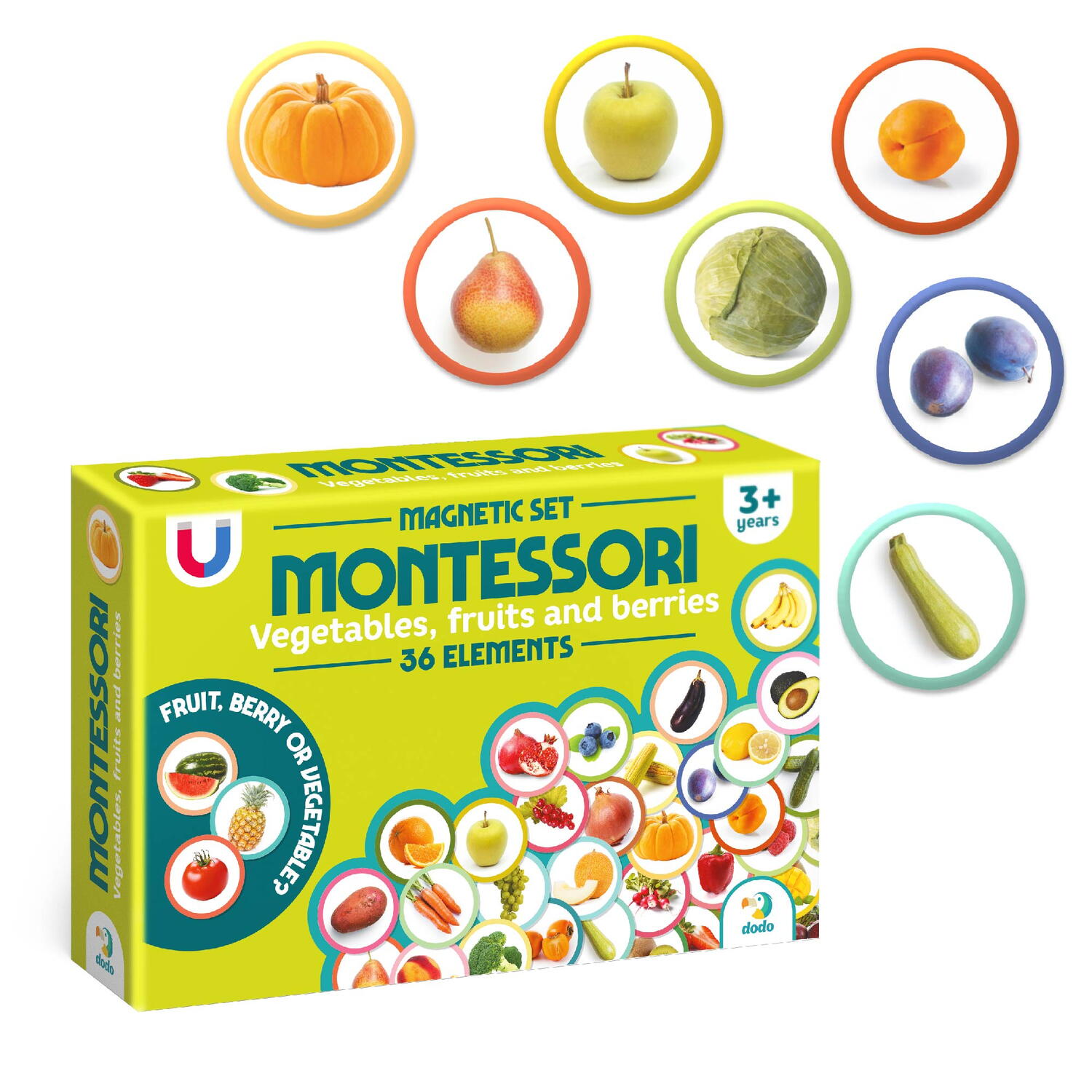 Set magneti Montessori - Fructe si legume, [2],bestfam.ro