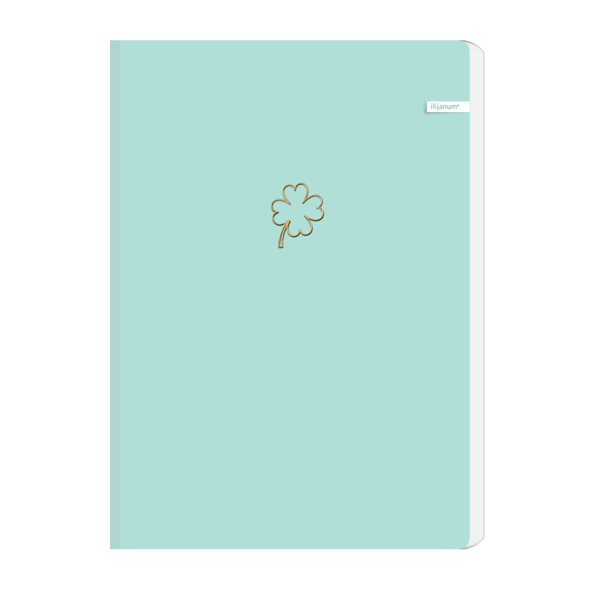 Ilijanum Ilijanum Caiet ilijanum, a4, 96 file, 70 g/mp, matematica, soft touch