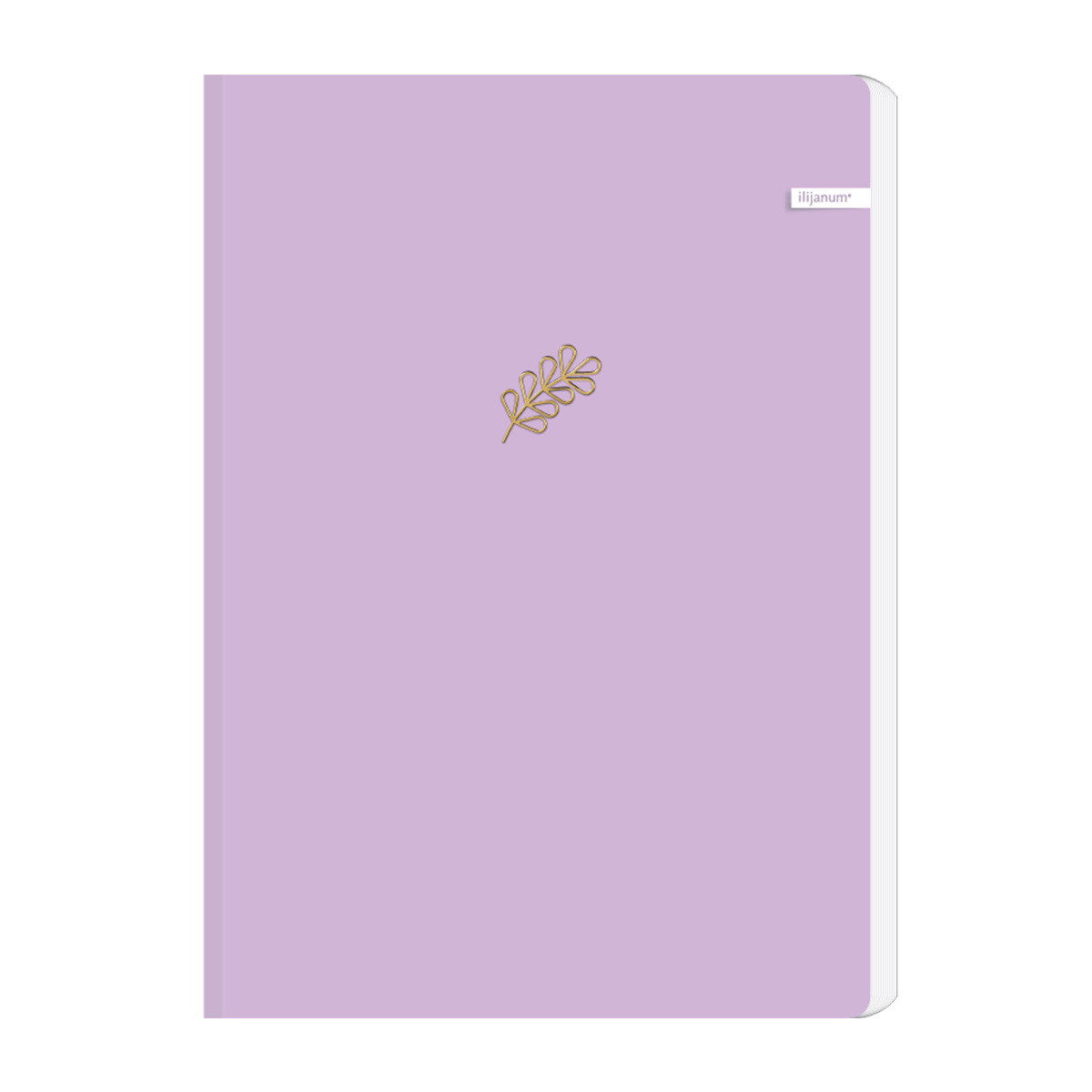 Ilijanum Ilijanum Caiet ilijanum, a5, 96 file, 70 g/mp, dictando, soft touch