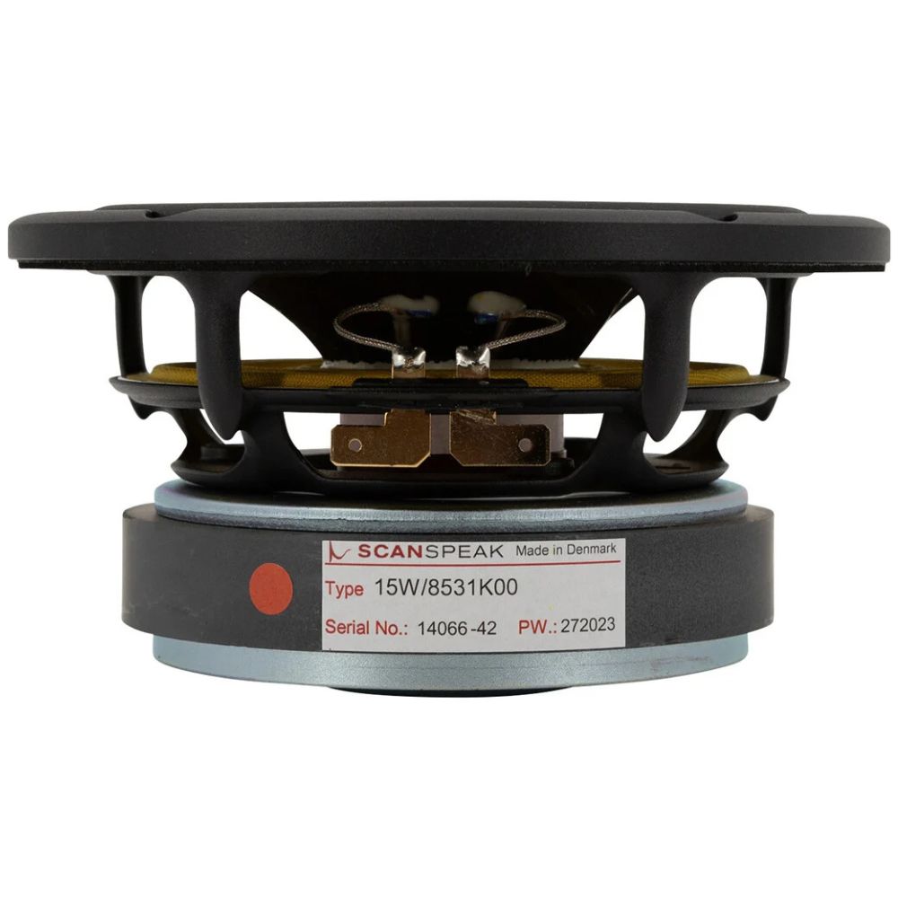 futures rake Mサイズ Midwoofer Scan-Speak 18W/8531G00 - audioclub.ro