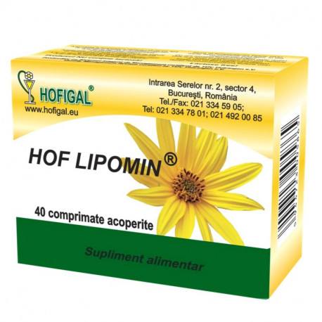 Afectiuni ale ficatului si bilei - Hof Lipomin, 40 comprimate, Hofigal, farmacieieftina.ro