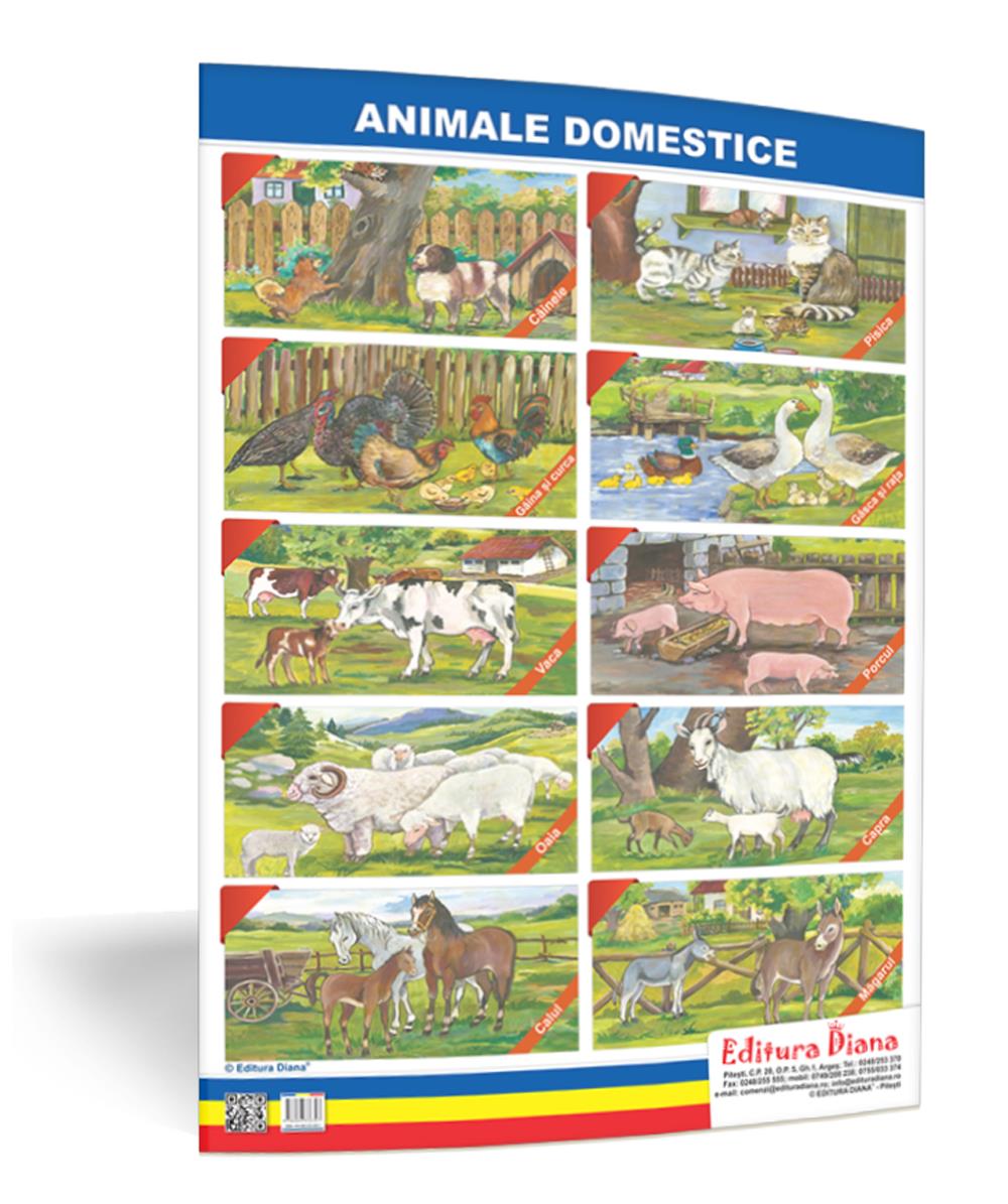 Animale domestice – planșă 50×70 – Proiecte Tematice edituradiana.ro
