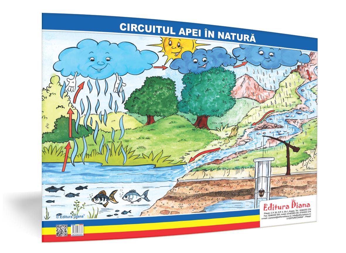Circuitul apei în natură – planșă 50×70 – Proiecte Tematice edituradiana.ro