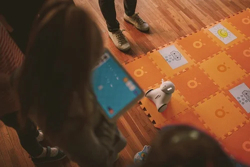 Covoraș tip puzzle din spumă cu 36 de piese pentru activități cu Photon