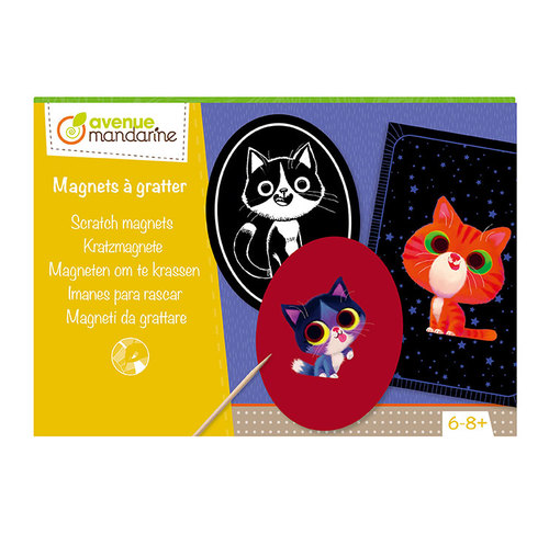 Cutie creativă cu 6 magneți și 3 carduri pentru răzuire