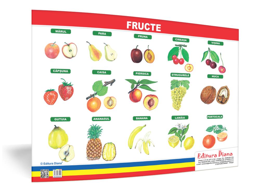 Fructe – planșă 50×70 – Proiecte Tematice edituradiana.ro