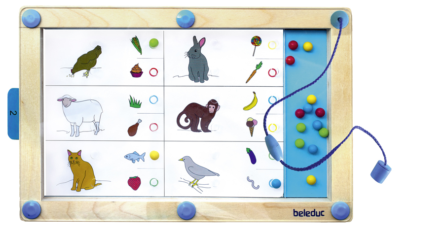 Joc educativ magnetic