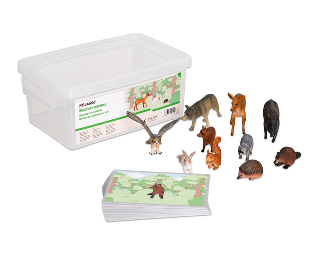 Joc Montessori pentru dezvoltarea vocabularului - Animalele pădurii