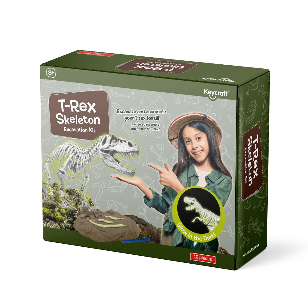 Kit de explorator - Sapă și descoperă T-rex fosforescent