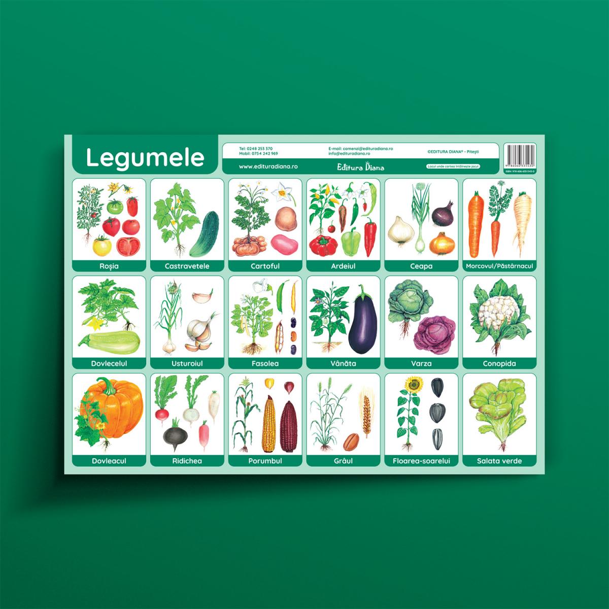 Legume - planșă didactică A3