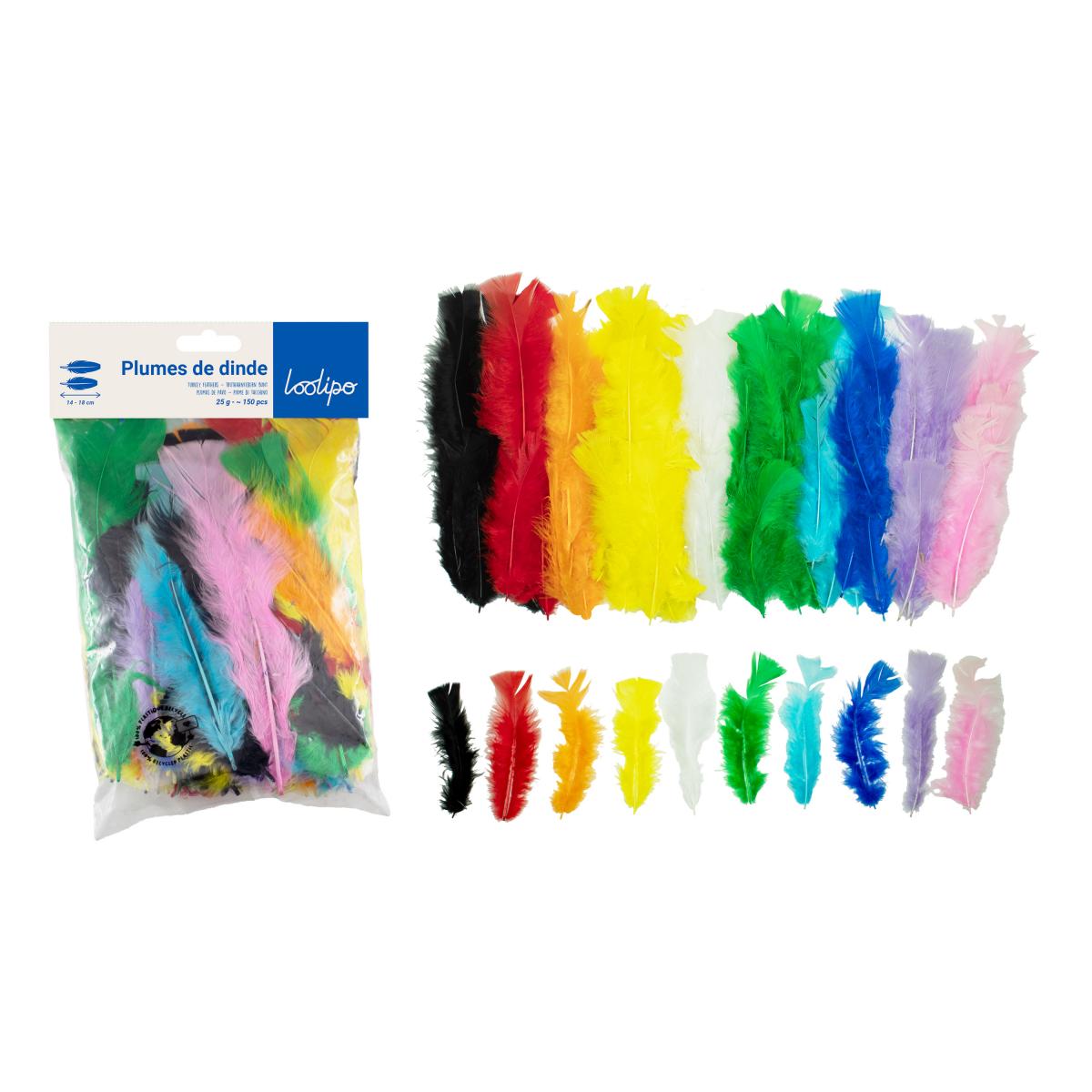 Pene multicolore, 300 bucăți, 25 g