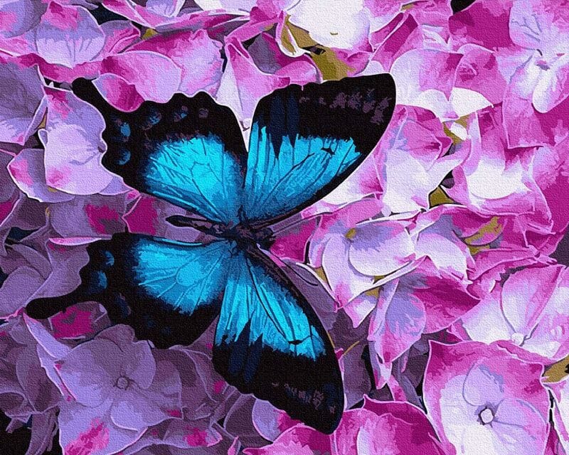 Pictură pe numere – Fluture albastru pe flori, 40 x 50 cm edituradiana.ro