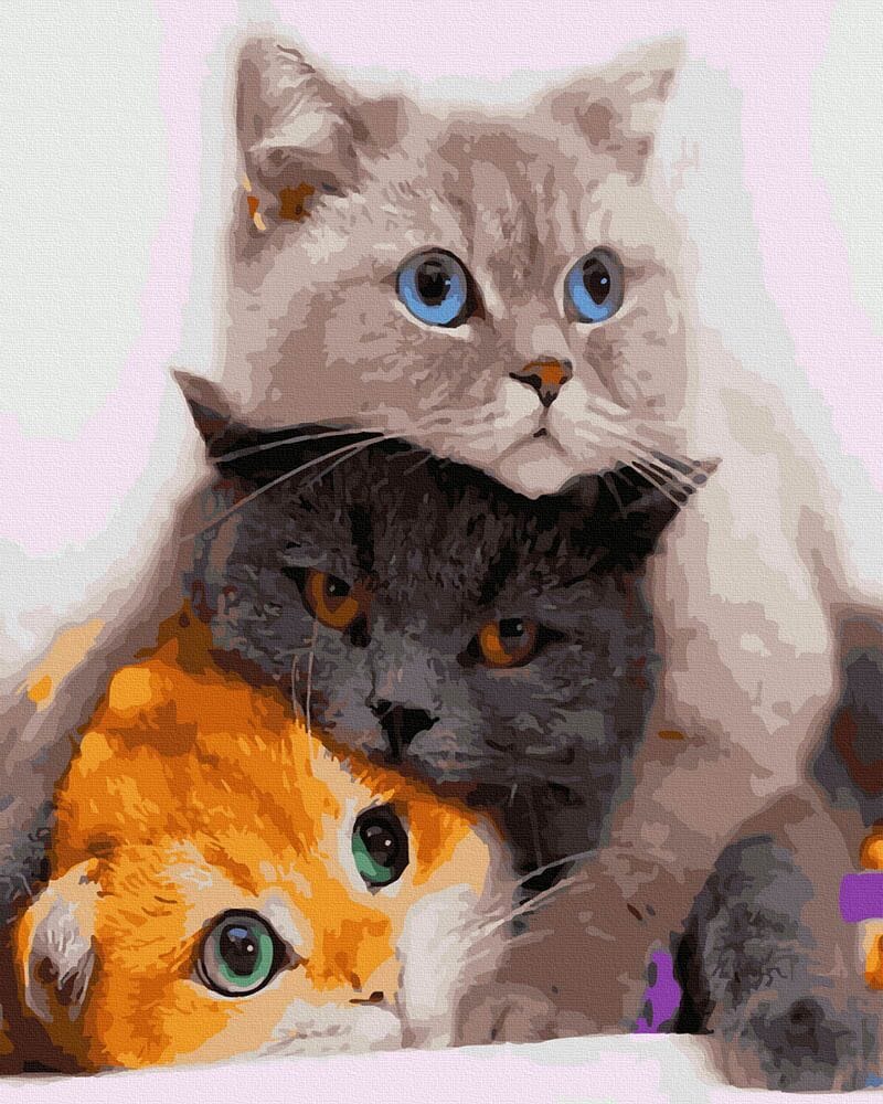 Pictură pe numere – 3 pisicuțe, 40 x 50 cm