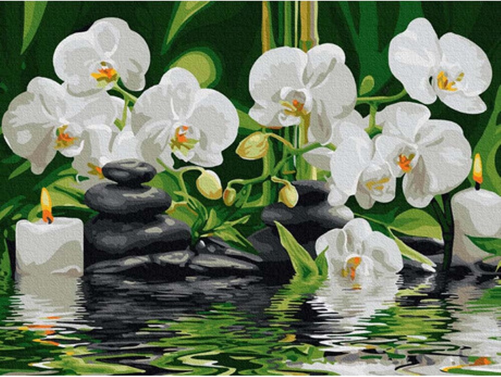 Pictură pe numere – Orhidee pe apă, 30 x 40 cm edituradiana.ro imagine 2022