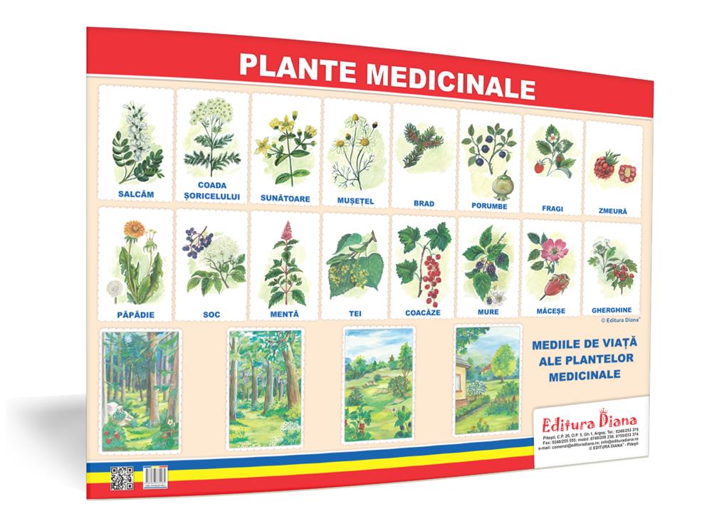 Plante medicinale – planșă 50×70 – Proiecte Tematice edituradiana.ro