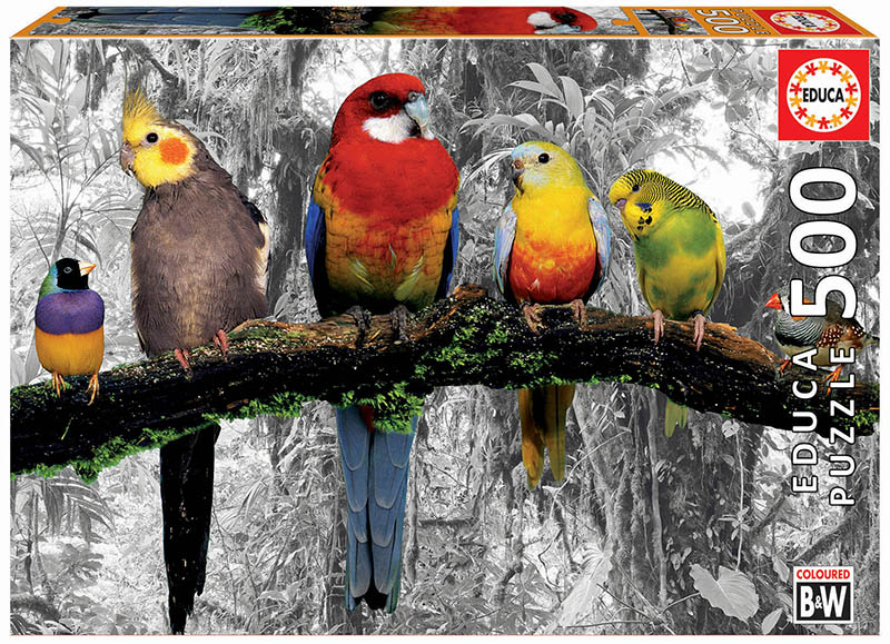 Puzzle cu 500 de piese – Păsări în junglă edituradiana.ro