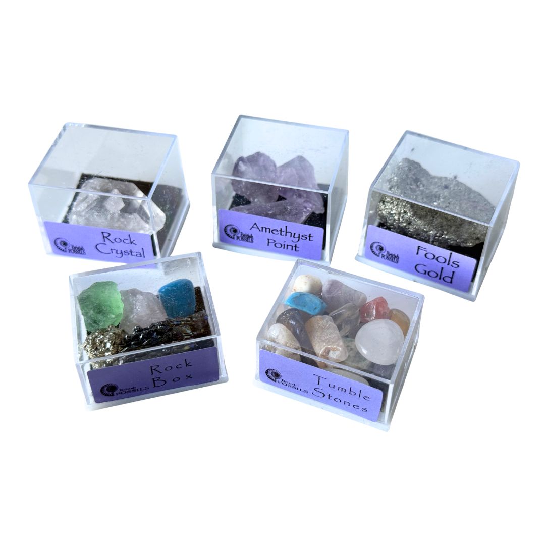 Set 5 cutii cu pietre semiprețioase, minerale și fosile