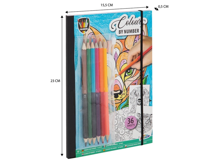 Set carte de colorat pe numere și 6 creioane colorate, 23 x 16 cm edituradiana.ro