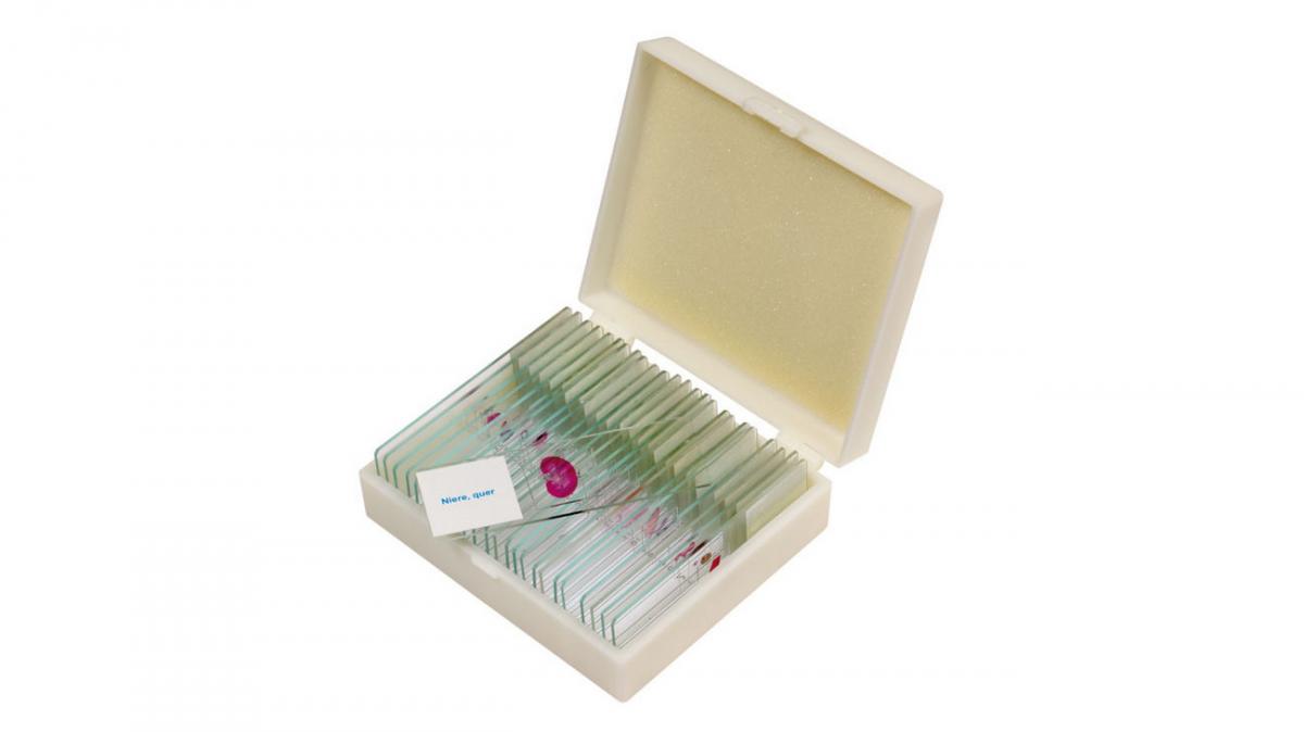 Set de 12 lamele cu 25 de preparate microscopice
