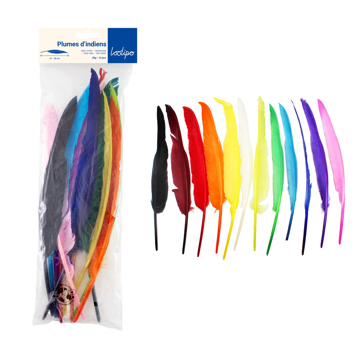 Set de 12 pene decorative colorate