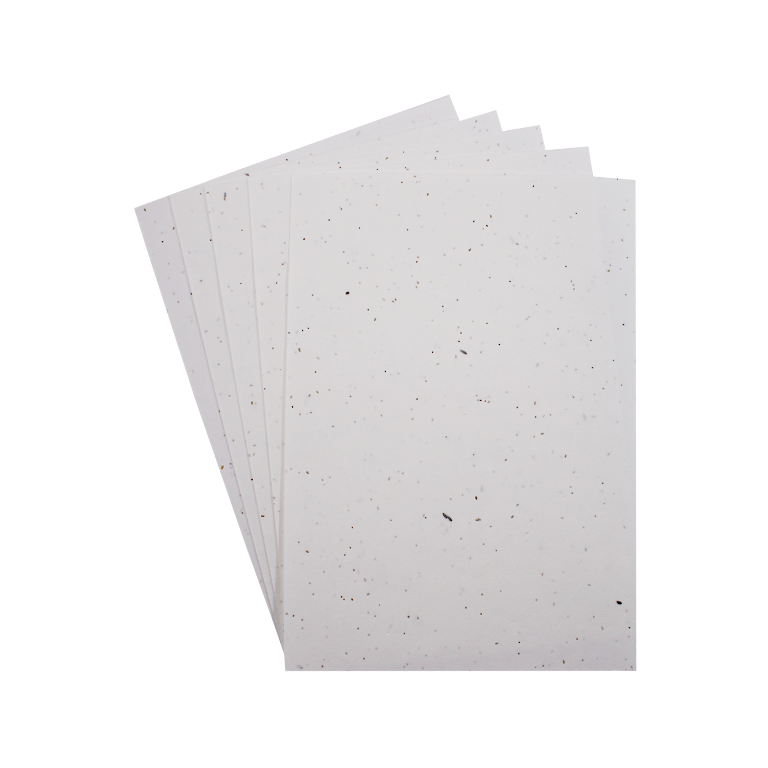 Set de 5 foi de hârtie plantabilă cu semințe – 21 x 30 cm creație poza 2022