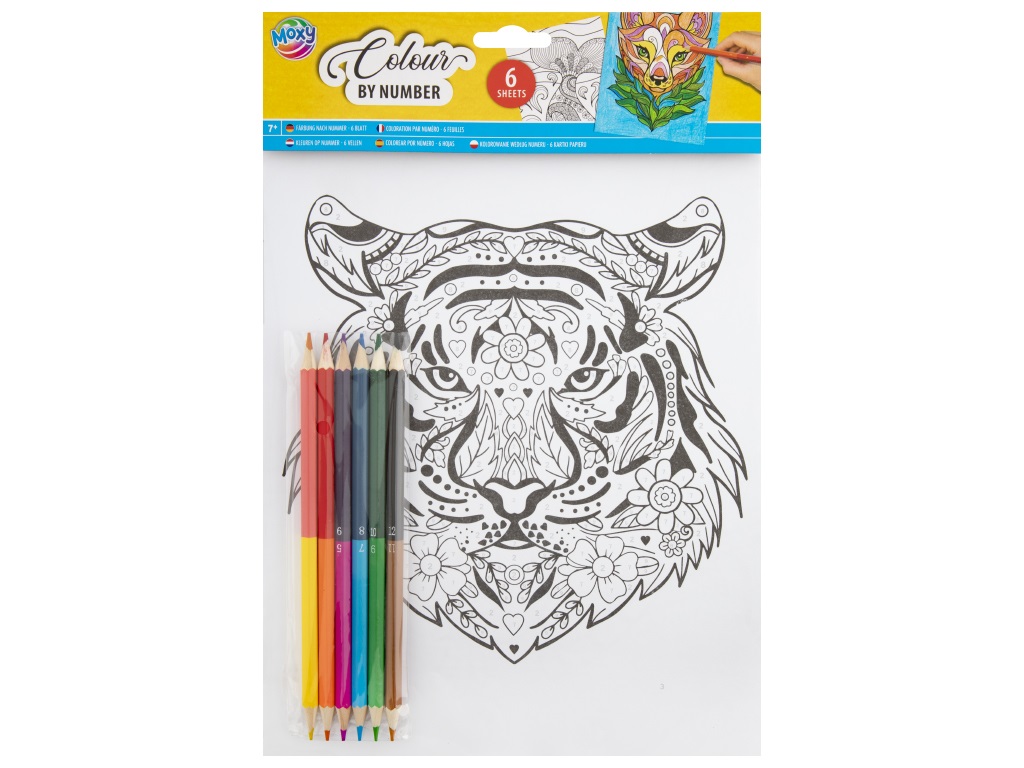 Set de 6 planșe de colorat și 6 creioane colorate - Animale