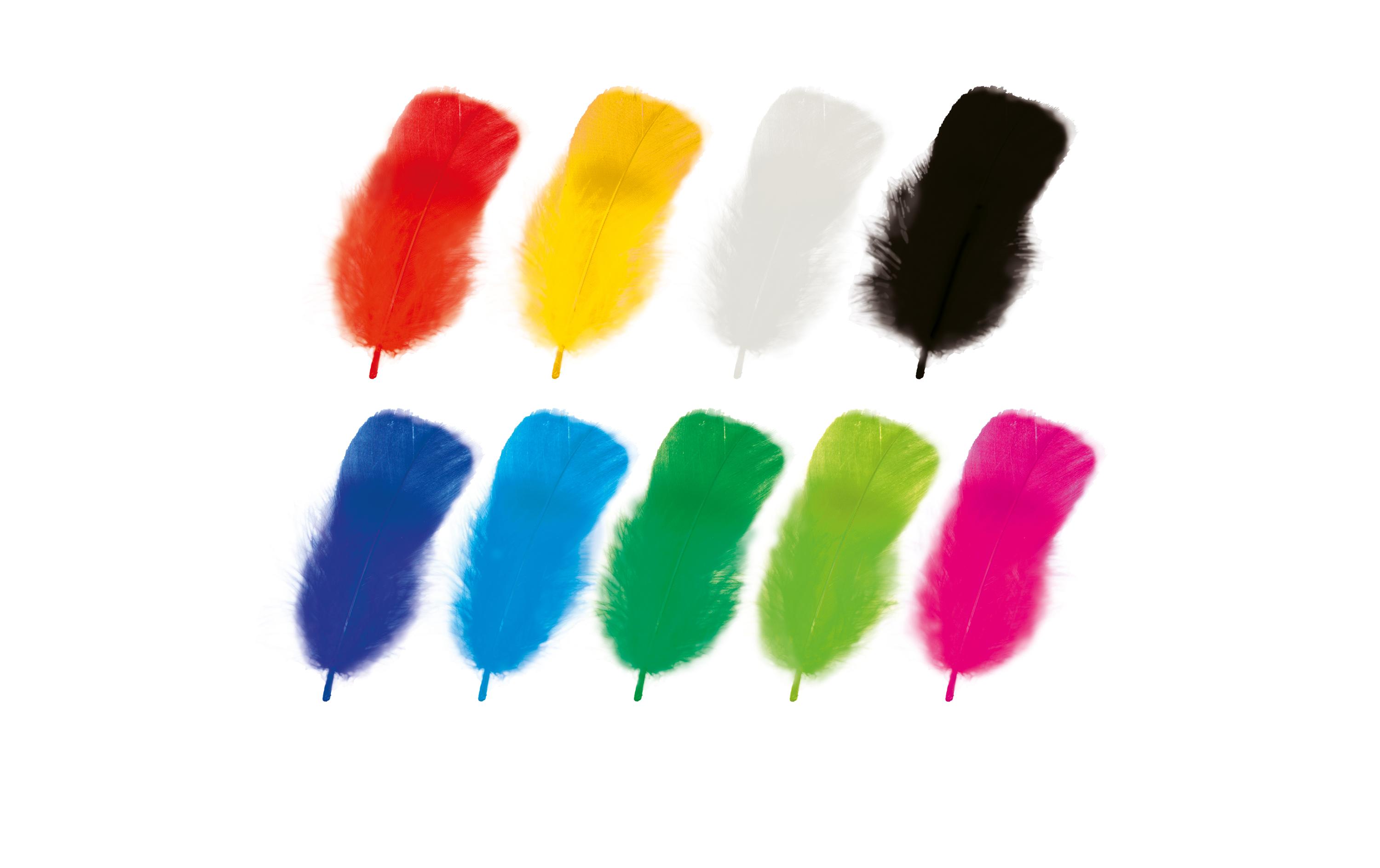 Set de pene naturale colorate, 10-15 cm
