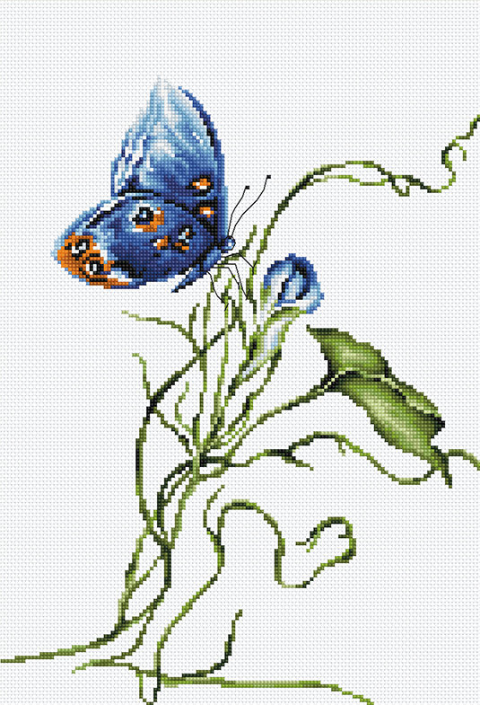 Set broderie cu ață și ac – Fluture albastru pe floare edituradiana.ro