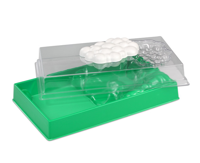 Simulator circuitul apei în natură, 50 x 12 cm
